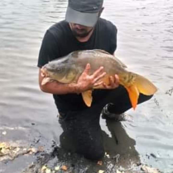 Profilo di Salvatore