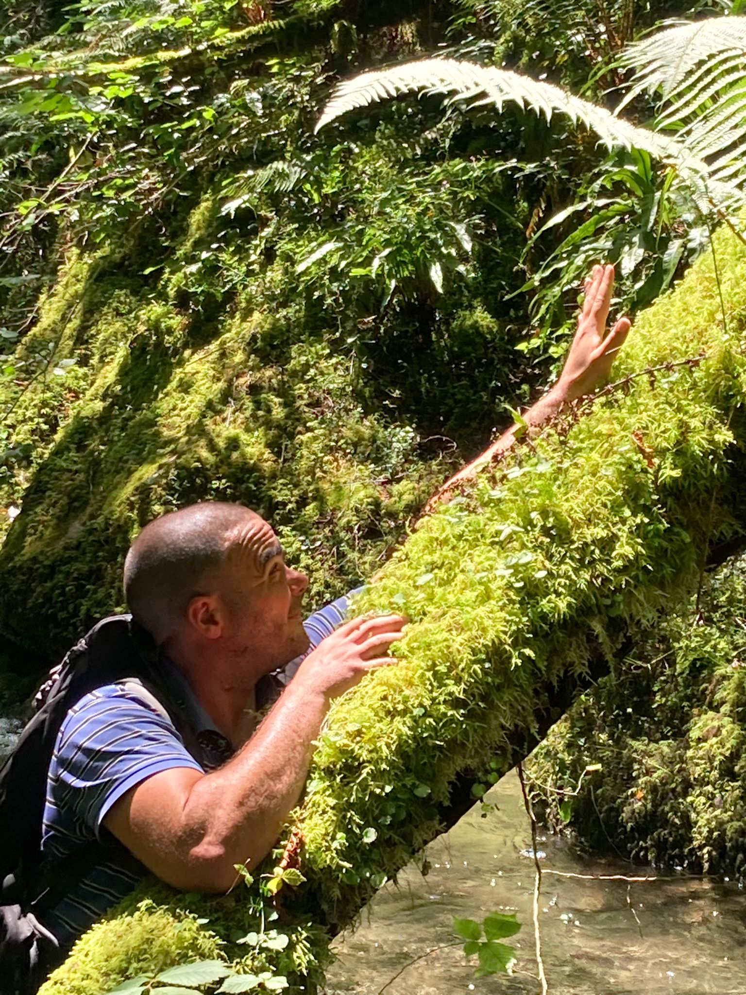 Profilo di Mohamed-younes