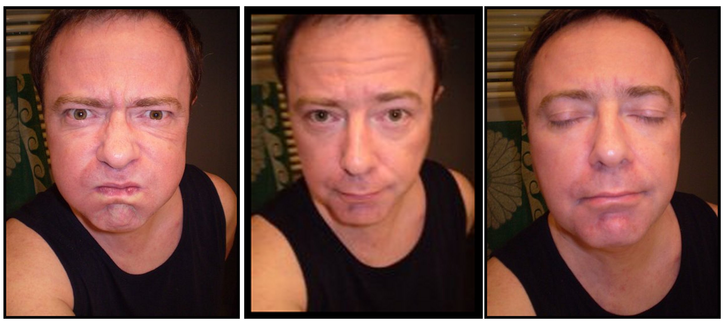 Profilo di Béranger