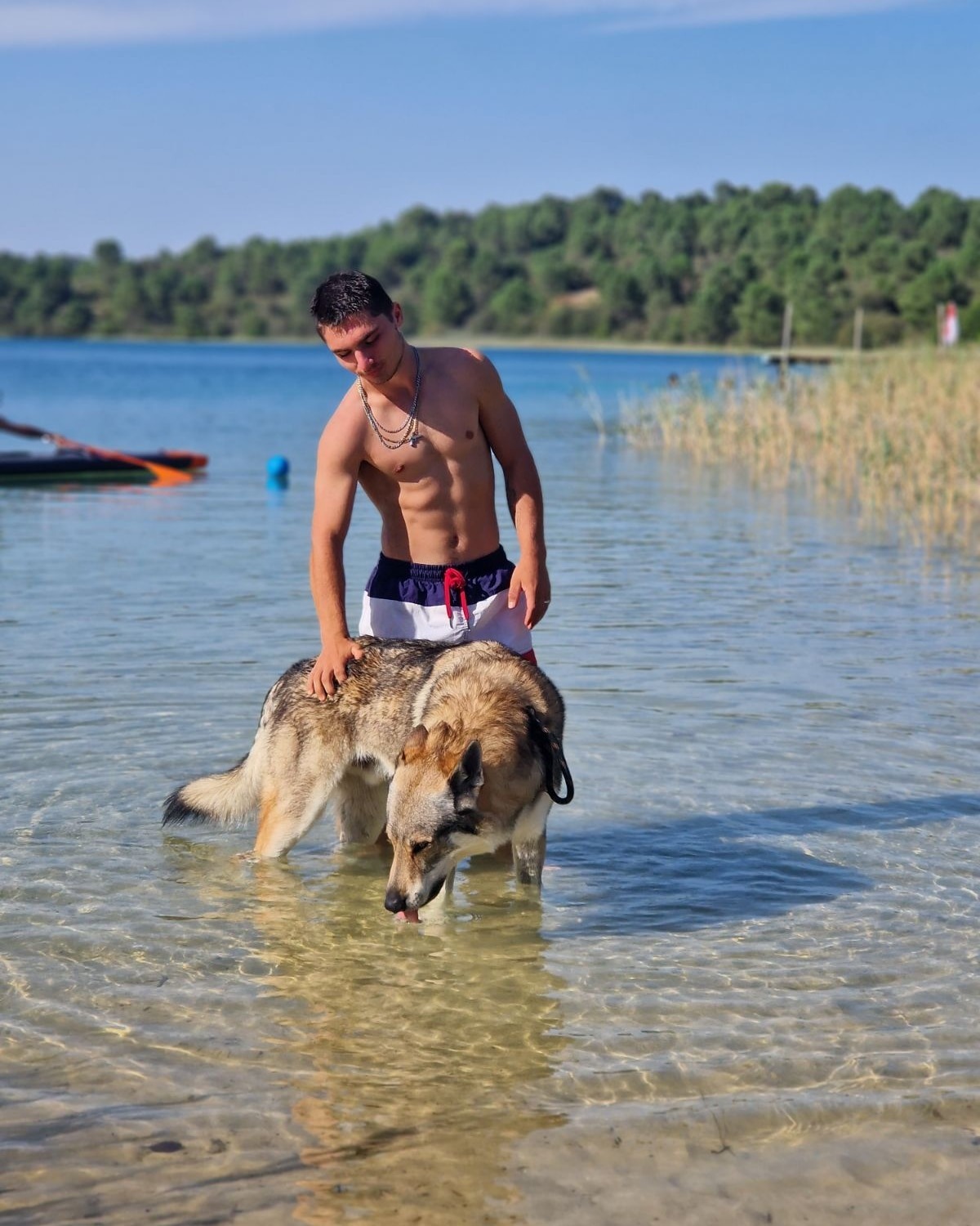 Profilo di Louis-nicolas